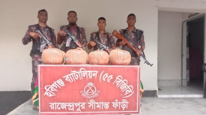 হবিগঞ্জে ৫৫ বিজিবির অভিযানে ২৯ কেজি গাঁজা জব্দ
