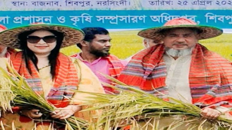নরসিংদীর শিবপুরে চলতি মৌসুমে বোরো ধানের নমুনা শস্য কর্তন উৎস