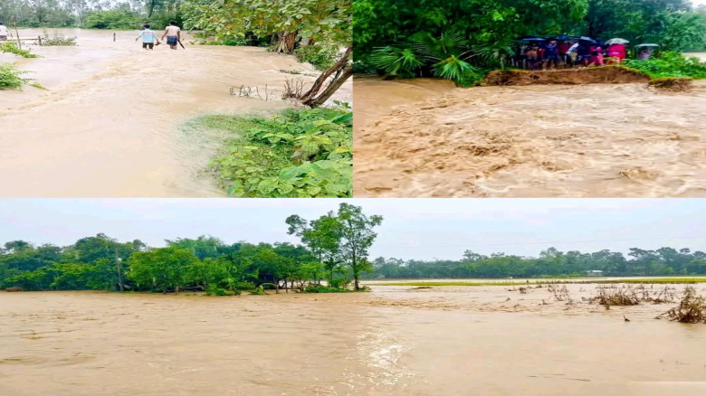 পাহাড়ি ঢলে ভাসছে হালুয়াঘাট ৩ ইউনিয়নের ফসলি জমি ও ঘরবাড়ি লন্ড